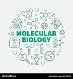 Molecular Biology