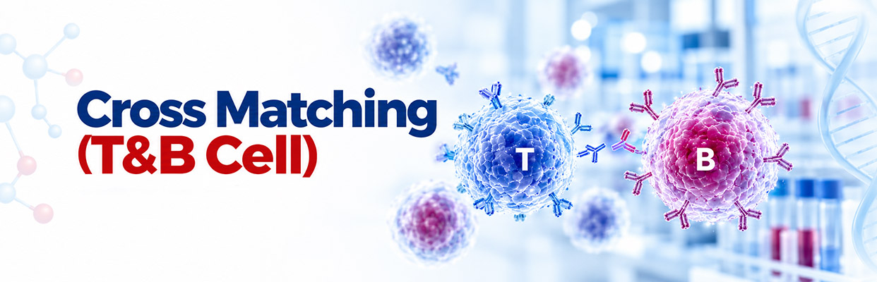 Cross Matching (T&B Cell)