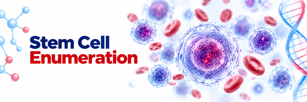 Stem Cell Enumeration