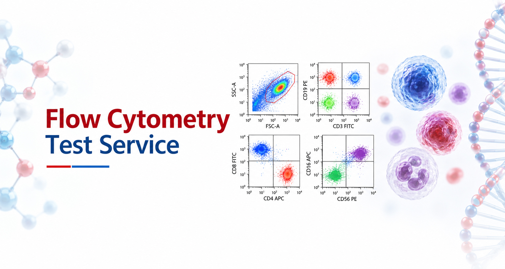 Flow Cytometry Test Service