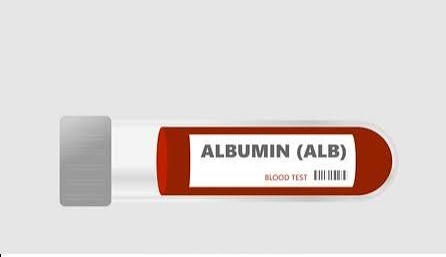 Albumin (ALB)