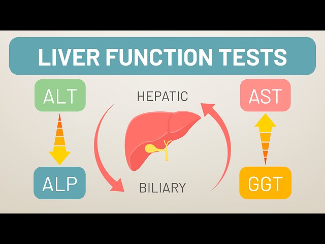 Liver Function Test (LFT) - TBIL , AST , ALT , ALP