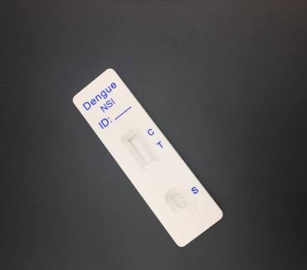 Dengue NS1 Antigen (ICT)
