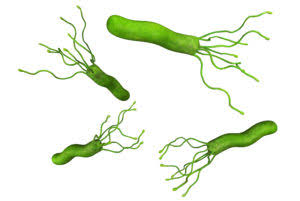 H. Pylori Stool antigen