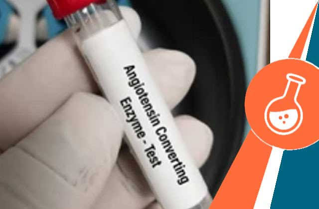 Angiotensin Converting Enzyme (ACE)