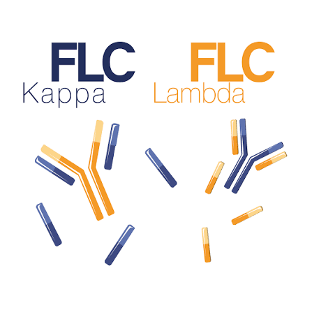 Kappa/ Lambda FLC Ratio