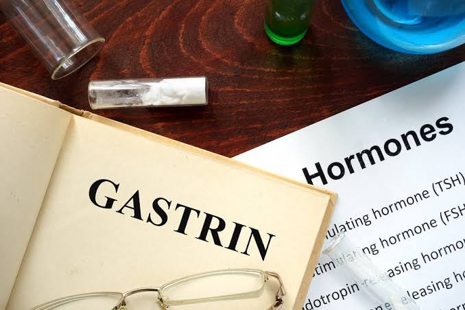 Gastrin