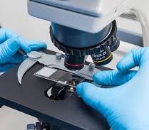 Histopathology & Cytology