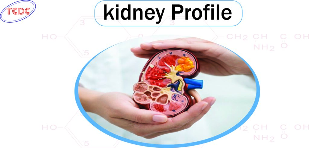 The importance of kidney health and details the specific tests included in a Kidney Profile.